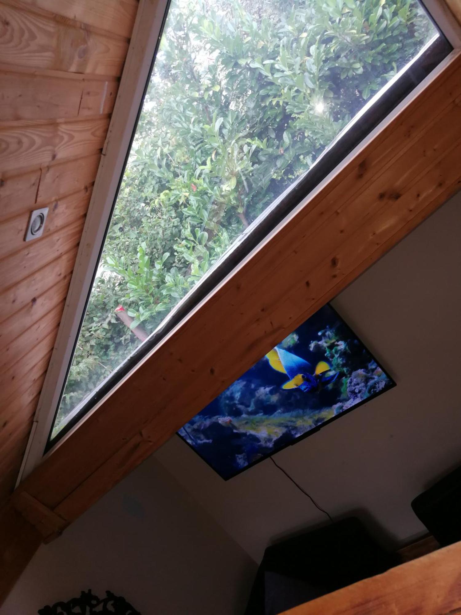 Wohlfuehloase - Zimmer, Appartment - Im Herzen Starnbergs Pokoj fotografie